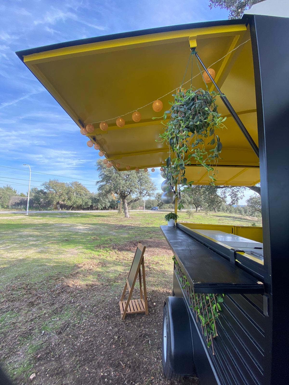 Toldo amarillo con luces y planta colgante